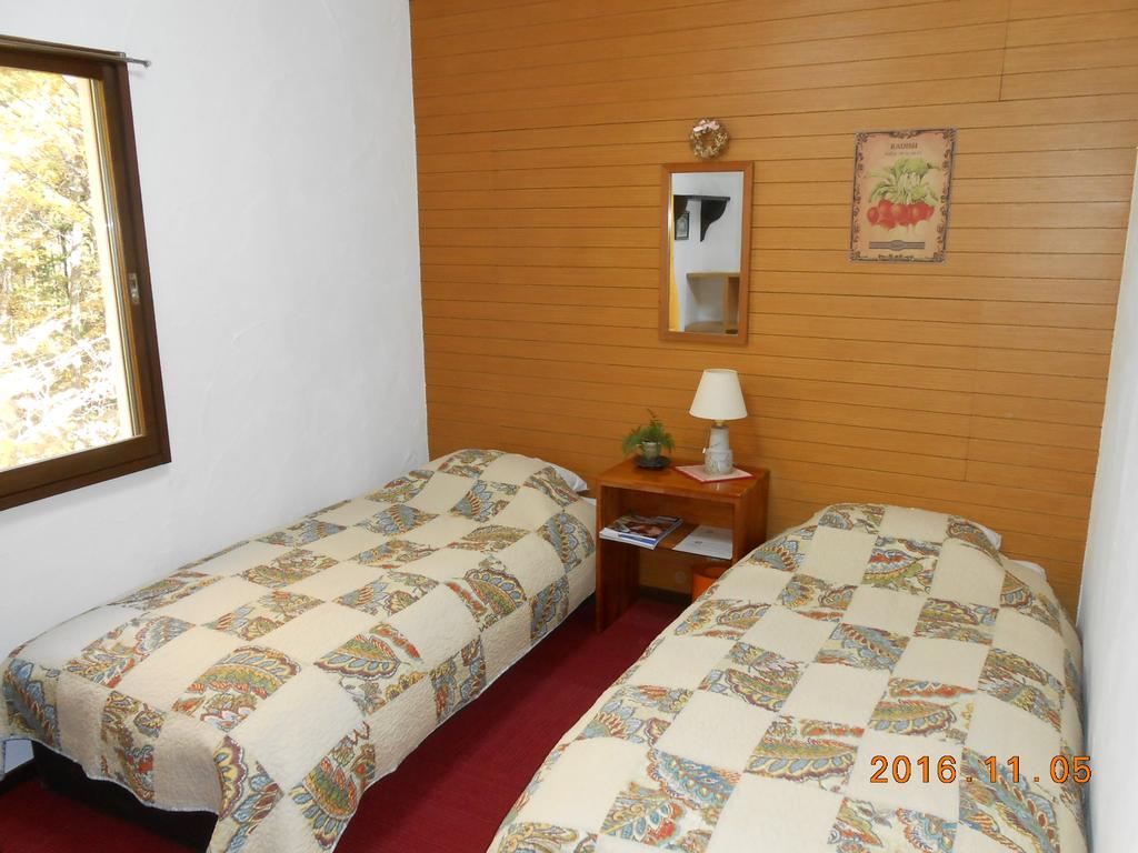 Pension Nugget Inn Hakuba Exterior photo
